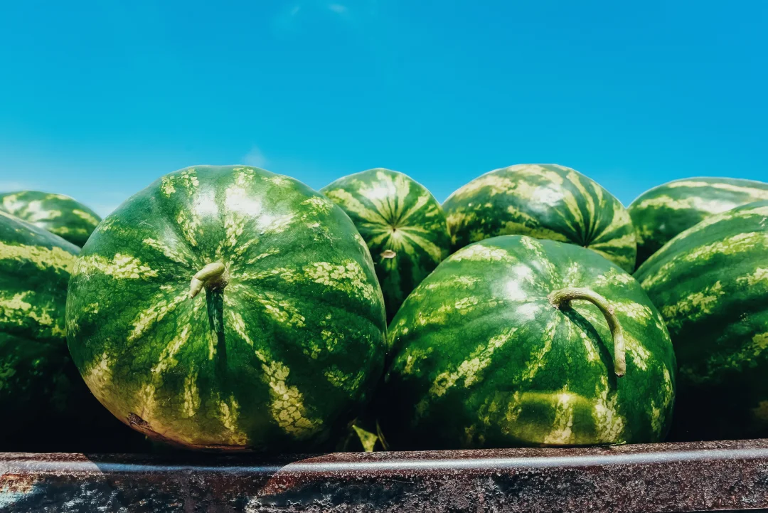 Fresh Market featuring seasonal produce, exclusively for campsite guests