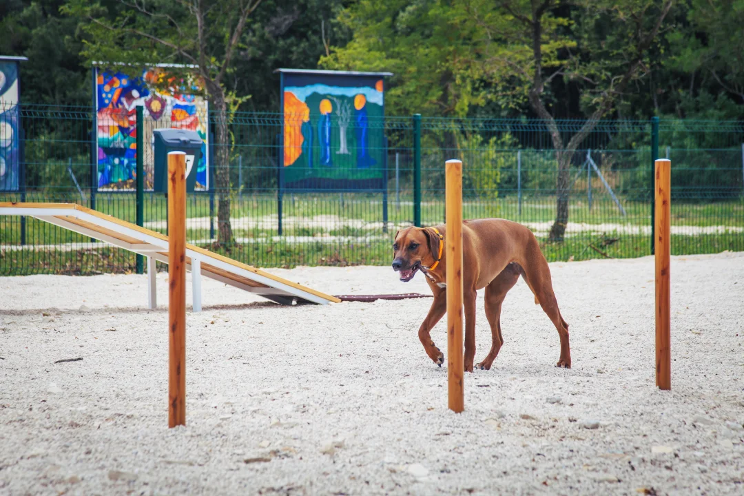 Pet-Friendly