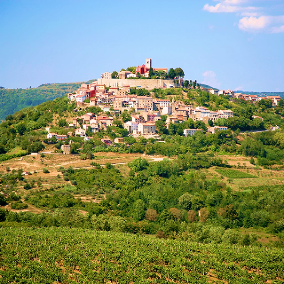 Montona