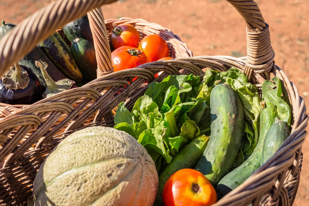 Fresh Market – Brezplačna vrečka s svežimi izdelki, na voljo dvakrat tedensko