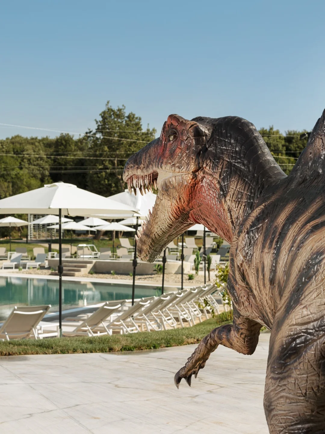 A family-friendly resort